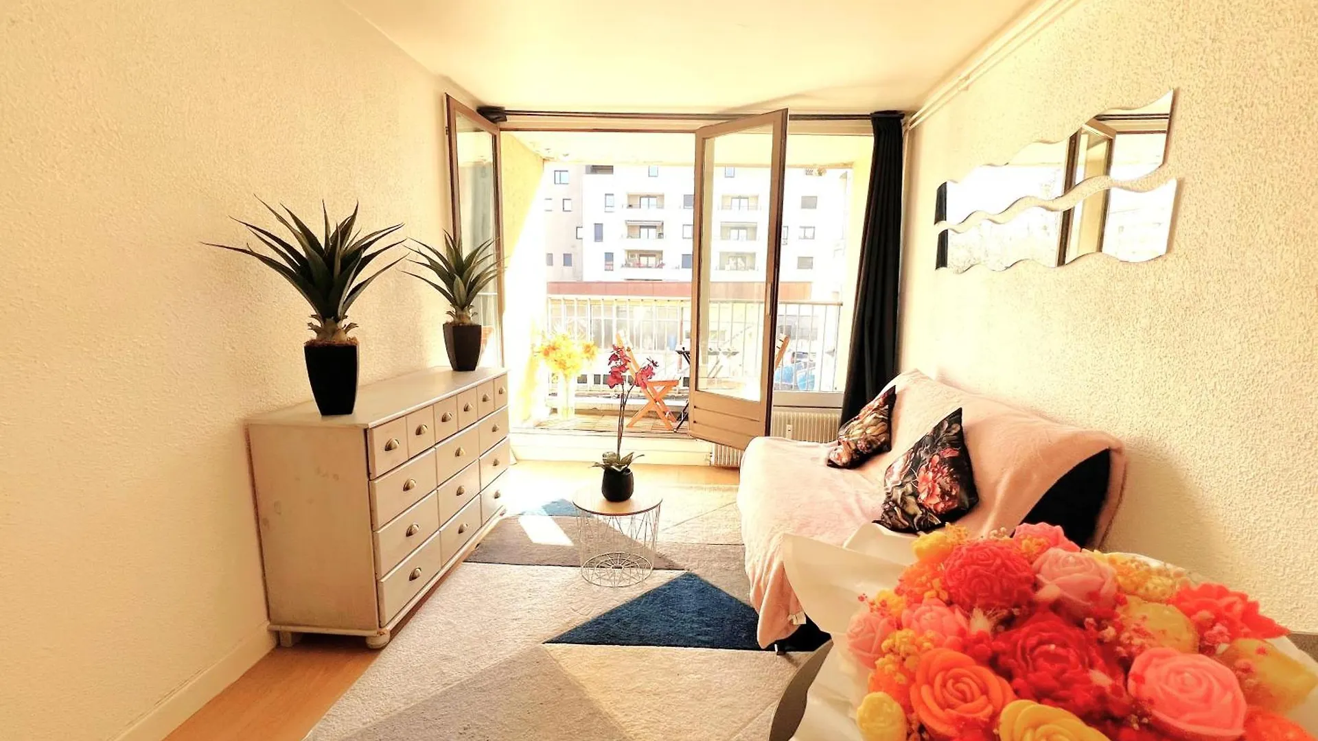 Le Pont Neuf Apartment Annecy