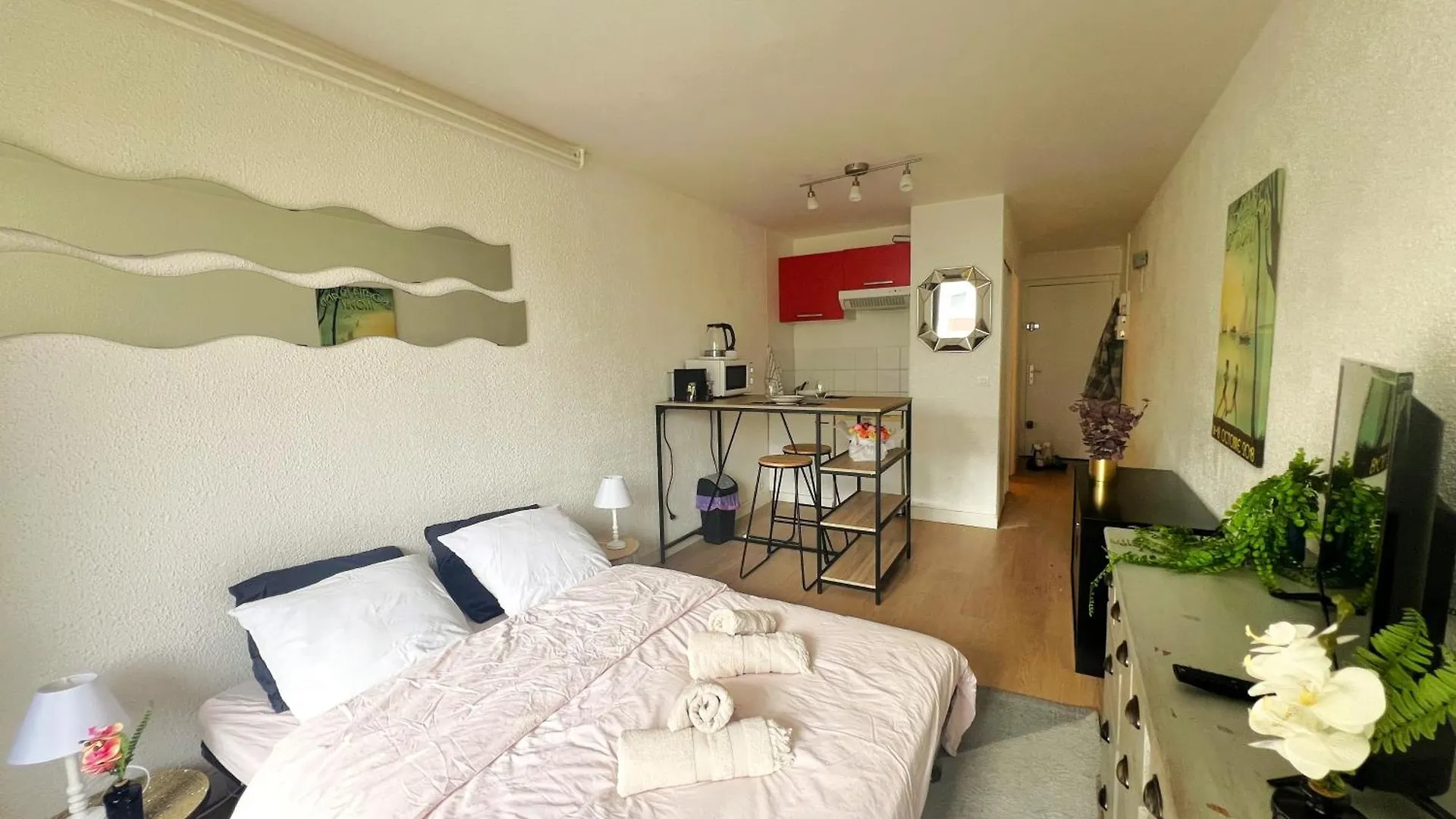 Le Pont Neuf Apartment Annecy